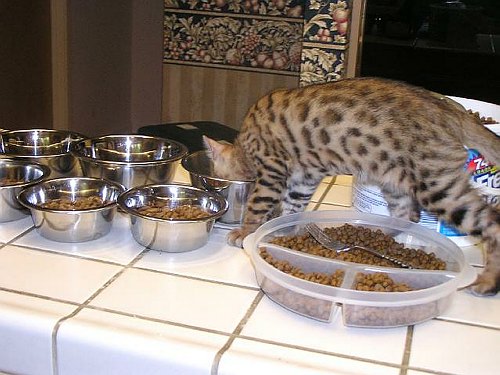 Lancelot Helping Mom